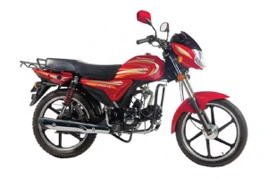 Roadmaster Prime 100 Price in Bangladesh
