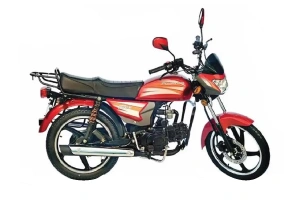 Roadmaster Rex Commuter Bike