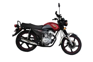 A red and black color PHP Pride 125 in a white background